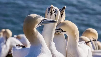 hs视频在线观看，hs视频在线观看www免费入口