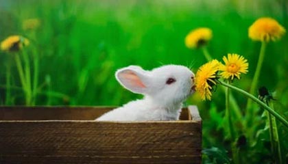 歪歪漫画登录页面登录秋蝉，歪歪漫画登录页面首页登陆二维码