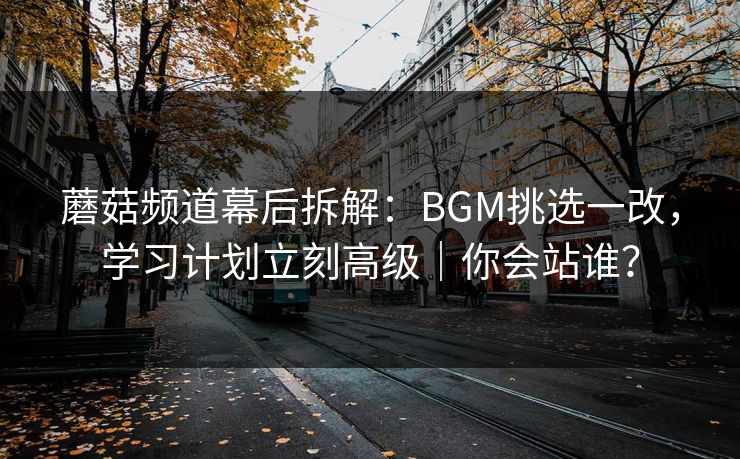 蘑菇频道幕后拆解:BGM挑选一改,学习计划立刻高级|你会站谁? 蘑菇频道幕后拆解:BGM挑选一改,学习计划立刻高级|你会站谁?