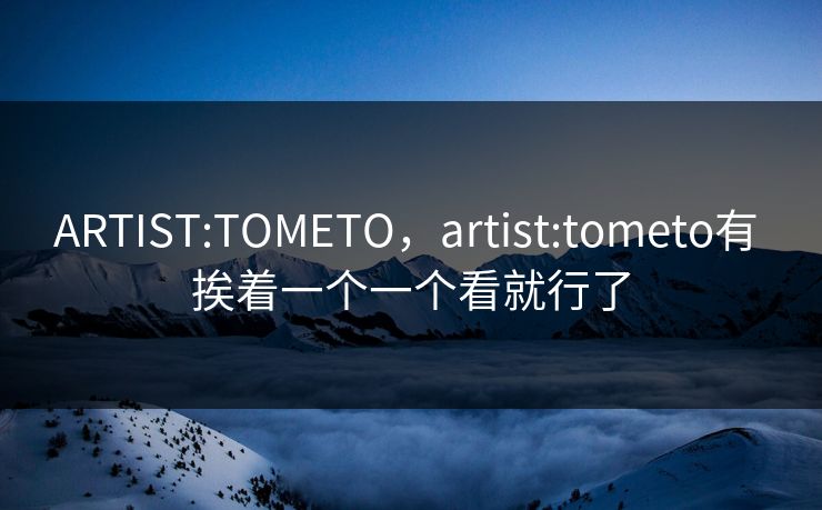 ARTIST:TOMETO，artist:tometo有 挨着一个一个看就行了